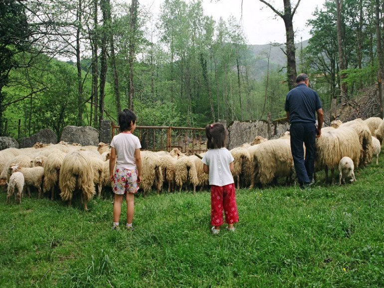 Turismo familar con niños en Navarra :: Abelore, Casas Rurales de Agroturismo de Navarra