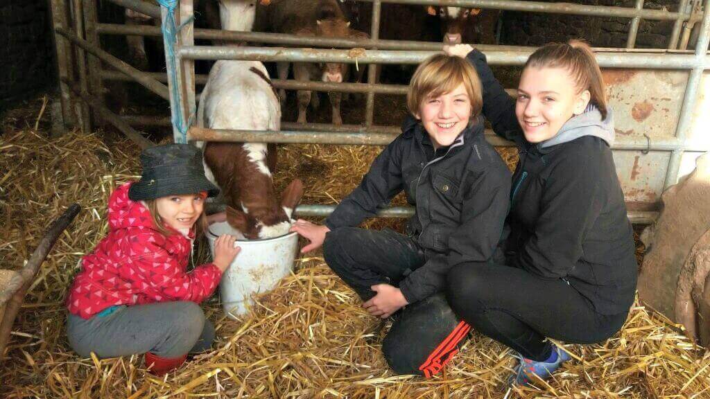 Actividades con animales en la granja :: Abelore, casas rurales de agroturismo en Navarra